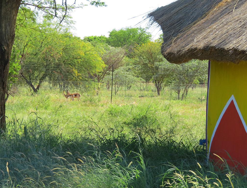 Lodge Huge Dassie Bela-Bela Extérieur photo