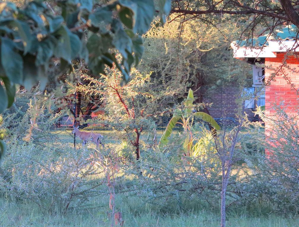 Lodge Huge Dassie Bela-Bela Extérieur photo